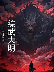 综武大明