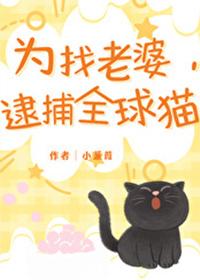 为找老婆,逮捕全球猫